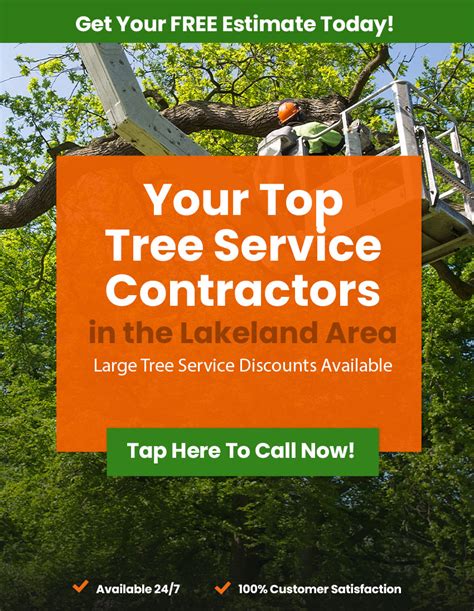 tree service lakeland|ads tree service lakeland fl.